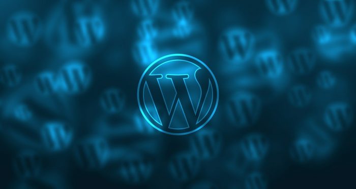Wordpress SEO services